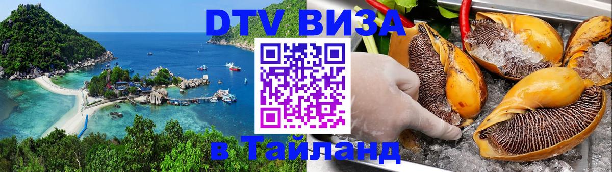 Сколько стоит DTV виза — актуальные цены, оформление даже без документов - Иркутск  20.11.2025 